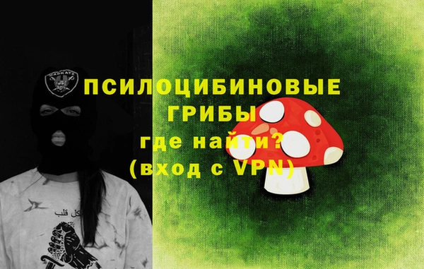 дживик Касимов