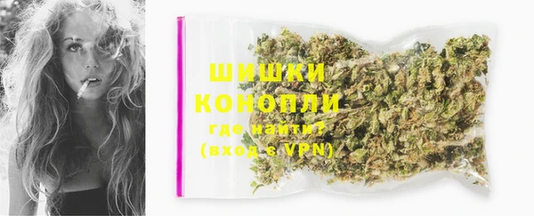 дживик Касимов