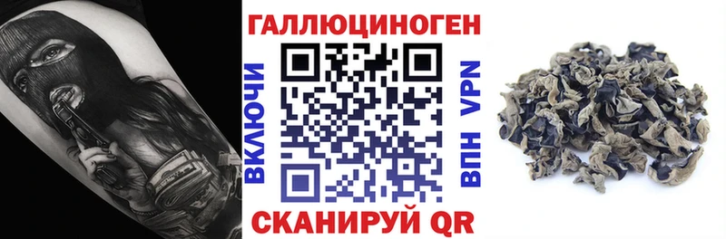 Псилоцибиновые грибы Psilocybine cubensis  закладка  Котельники 
