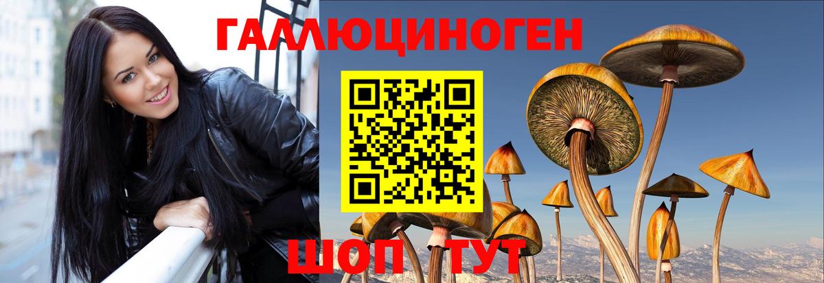 Псилоцибиновые грибы Psilocybe Котельники